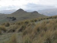 Albums/20060200-New Zealand 2006/20060201-Christchurch/42